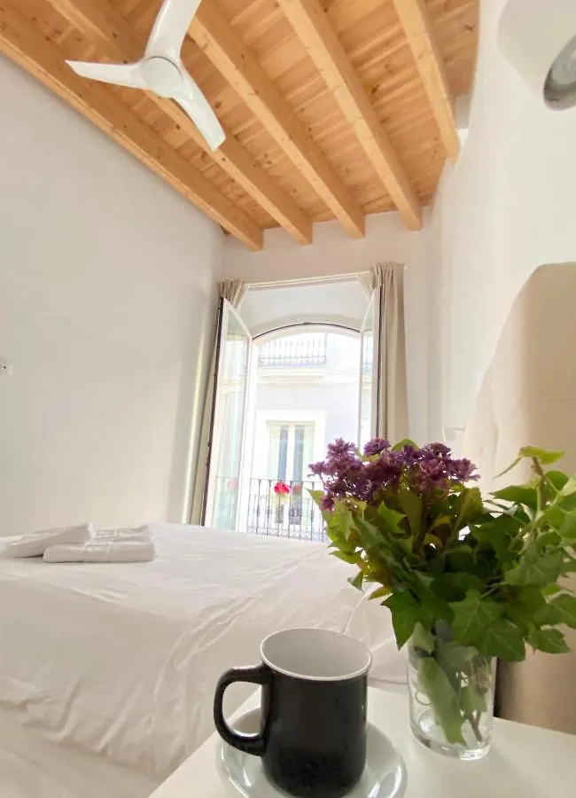 Top-Notch Downtown House With Private Rooftop Terrace And Parking Opt Seville Villa