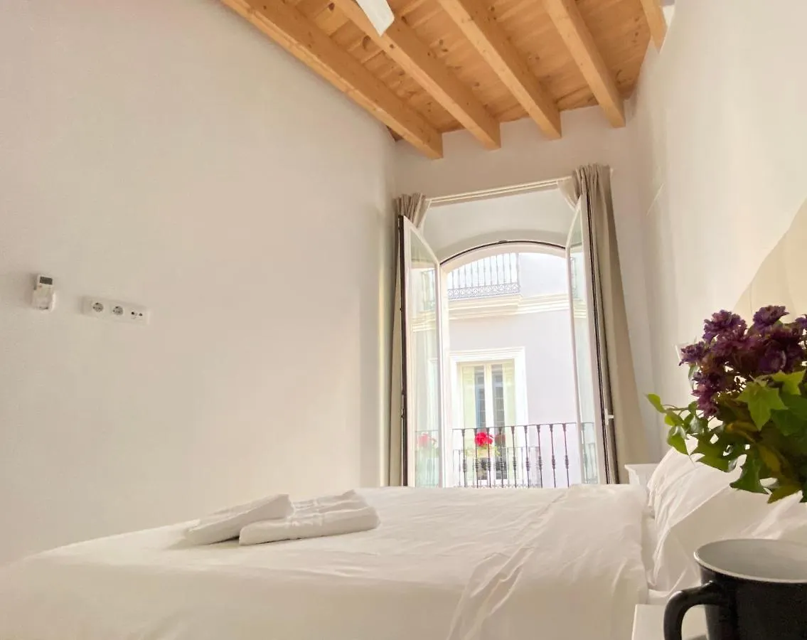 Top-Notch Downtown House With Private Rooftop Terrace And Parking Opt Seville 0*,  Spain