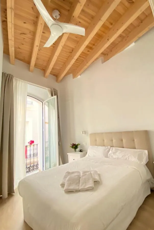 Top-Notch Downtown House With Private Rooftop Terrace And Parking Opt Seville