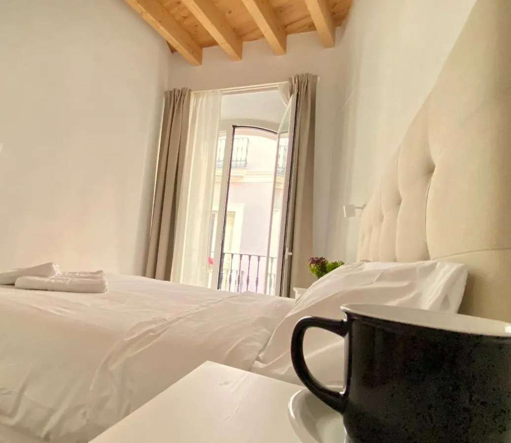 Top-Notch Downtown House With Private Rooftop Terrace And Parking Opt Seville Villa