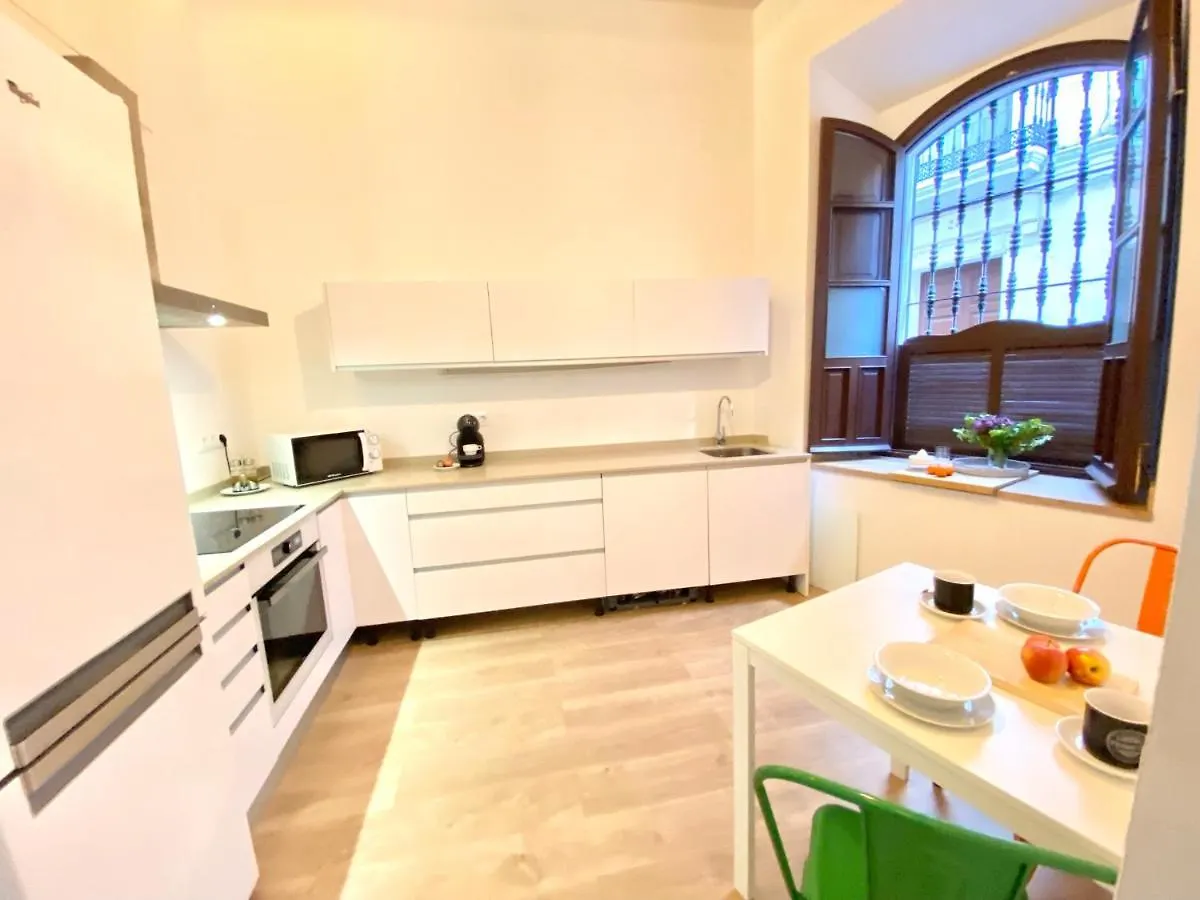 Top-Notch Downtown House With Private Rooftop Terrace And Parking Opt Seville
